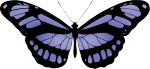 Butterfly 15 (blue)